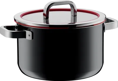 Image de WMF Marmite à viande FT Functional 24c