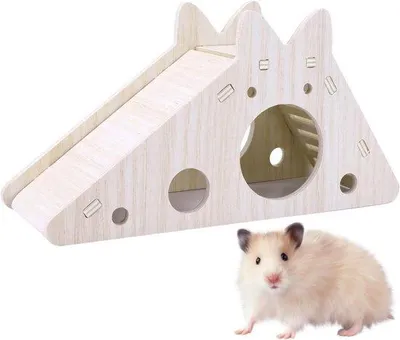 Image de Cage à hamster avec échelle, toboggan et cachette - Jouet en bois pour petits animaux