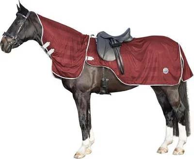 Image de Couvre-reins anti-mouches HKM avec couvre-cou amovible
