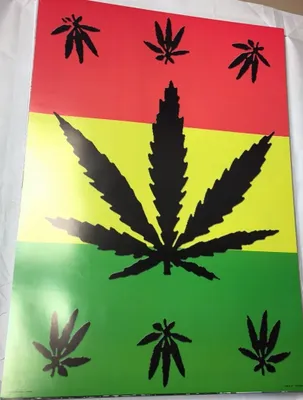 Obrázok produktu pre Kanabisy – Plagát – 59x84 cm