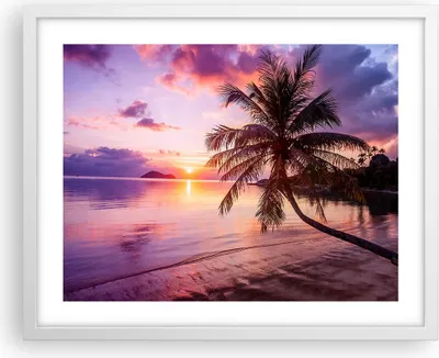 Produktbild von Gerahmtes Poster - Weißer Rahmen - Strand Meer Palme - 50x40 cm - Wand Bild - Wanddeko - Wandbilder - Kunstposter - Wandposter - Bilderrahmen - Bilder - Kunstdruck - Wandbild - P2WAA50x40-3912