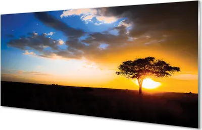 Produktbild von Glasbilder 120x60 Wandkunst Wolken Baum