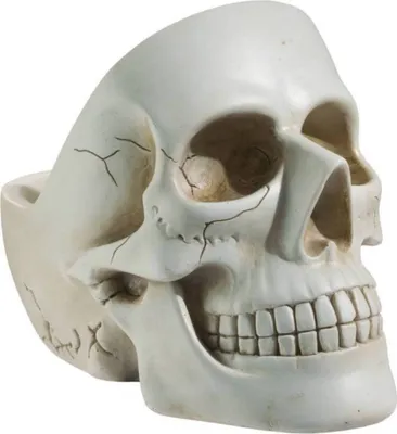 Produktbild von Heller Totenkopf als Schale