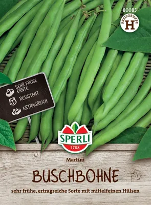 Produktbild von SPERLI Buschbohnensamen Martini Phaseolus vulgaris 5-7 lfd. Meter