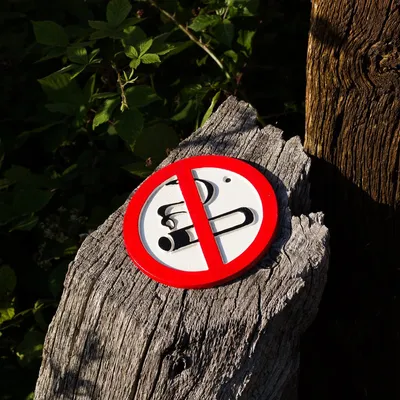 Produktbild von Nicht Rauchen Schild, Metallschild aus Gusseisen, Türschild, no smoking