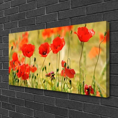 Produktbild von Tulup Leinwand-Bilder 100x50 Wandbild Canvas Kunstdruck Mohnblumen Natur