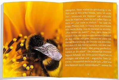 Obrázok produktu pre Das Märchen von der Sonnenblume