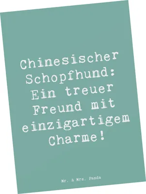 Produktbild von Mr. & Mrs. Panda Postkarte Spruch Chinesischer Schopfhund Charme - Meeresbrise - Geschenk, Postkarten, bildkarte, haarlose Hunde, Hunderassen Pflege, Freude, Hund