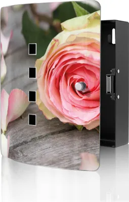 Produktbild von banjado Design Schlüsselkasten aus Edelstahl für 10 Schlüssel, Schlüsselschrank 24 x 21,5 x 7cm groß mit Magnetverschluss,  Rosa Rose [BWSK 10231]