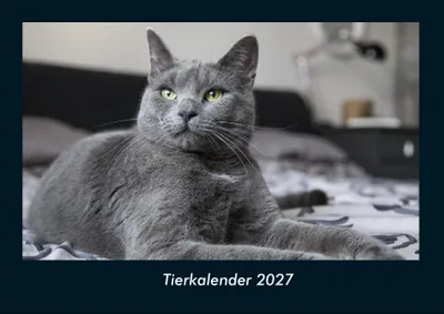 Produktbild von Tierkalender 2027 Fotokalender DIN A4