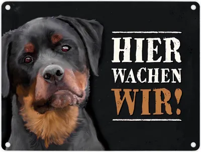 Produktbild von Metallschild mit Rottweiler Motiv und Spruch: Hier wachen wir! Metallschild