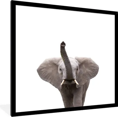 Produktbild von MuchoWow® Gerahmtes Poster Tiere - Elefant - Weiß - Wildtiere - Kinder 40x40 cm - Poster mit Schwarzem Bilderrahmen Wandposter Rahmen Foto Bilder - Mit Rahmen - Wanddekoration Schlafzimmer