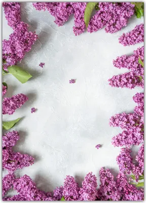 Produktbild von Motivpapier Briefpapier Blumen Blüten Flieder violett (MPA-5214, DIN A4, 100 Blatt)