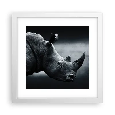 Produktbild von Gerahmtes Poster - Weißer Rahmen - Nashorn Schwarzweiß Porträt - 30x30 cm - Wand Bild - Wanddeko - Wandbilder - Wandposter - Bilderrahmen - Bilder - Kunstdruck - Wandbild - P2WAC30x30-4347