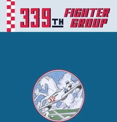 Produktbild von 339th Fighter Group