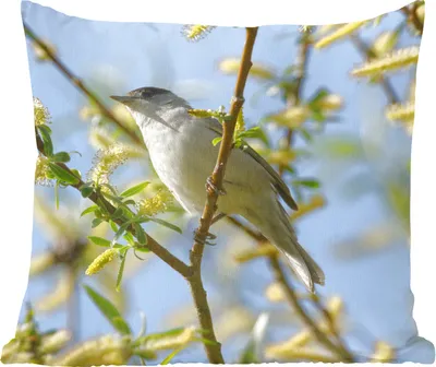 Produktbild von MuchoWow® Zierkissen Sofakissen Wohnzimmer Dekokissen 45x45 cm Vogel im Baum - Schlafpolster - Polster für das Sofa