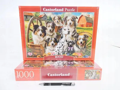 Immagine prodotto di Puzzle 1000 cani felici in campagna CASTOR