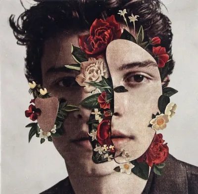 Immagine prodotto di Shawn Mendes: Shawn Mendes