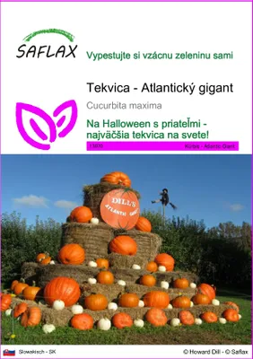 Obrázok produktu pre SAFLAX - Tekvica - Atlantický gigant - Cucurbita maxima - 7 Semená