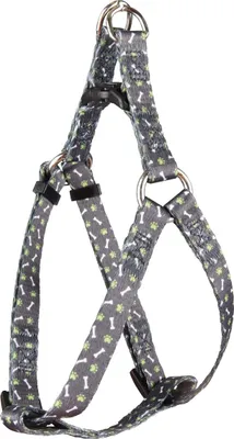 Produktbild von Flamingo Geschirr Step & Go Safia grün, Maße: 30-40 cm / 10 mm