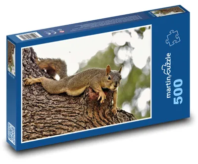 Produktbild von martinpuzzle - Puzzle 500 Teile - Braunhörnchen