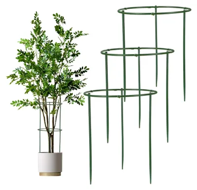 Produktbild von 3 Stück Pflanzenstützen Rund, Rankhilfe für Gartenpflanzen, Gemüse, Tomaten, Bohnen, Erbsen, Pfingstrosen, Gurken und Orchideen