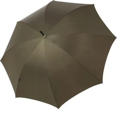 Produktbild von bugatti Stockregenschirm Regenschirm Knight AC Uni Green grün