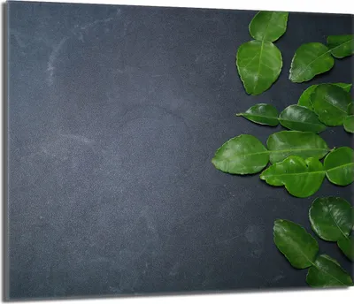 Produktbild von Herdabdeckplatte 60x52 Glaskeramikkochfeld Abdeckung Spritzschutz Glasplatte Deko Schneidebrett, Schiefer Laub