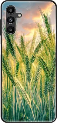 Produktbild von König Design Hülle kompatibel mit Samsung Galaxy A13 5G Kunststoff Soft Handyhülle - Handy Case Kornfeld