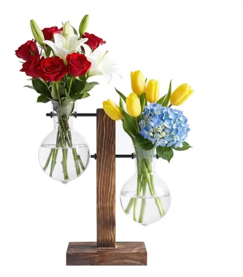 Produktbild von Hydroponische Vase - Aus Glas mit Holzständer - Für Hydrokulturpflanzen und Tischdekoration - 2er Set mit 1 Holzhalter