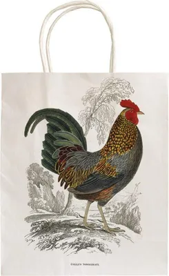 Obrázok produktu pre Dárková papírová taška Cockerel