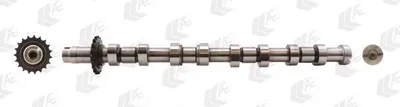 Produktbild von AE CAM751 Nockenwelle Auslass für CITROËN XSARA PICASSO (N68) passend für PEUGEOT 807 MPV für SUZUKI Grand Vitara I SUV (FT, HT)