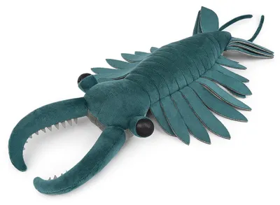 Zdjęcie produktu dla Anomalocaris, zabawka, 53 cm