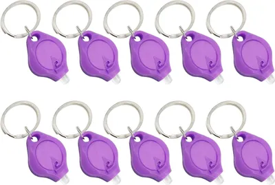 Produktbild von 10er-Pack Mini 395 UV-Licht Schlüsselanhängerlicht – kleine Taschenlampe – Taschenlampe mit Metallclip zur Banknotenprüfung – fluoreszierend