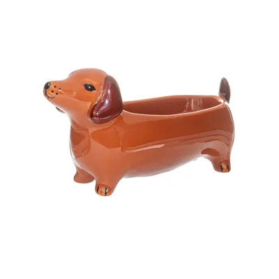 Image de Coupelle à bijoux « Sausage Dog » - Coupelle en porcelaine en forme de teckel, env. 5 x 14 x 7 cm