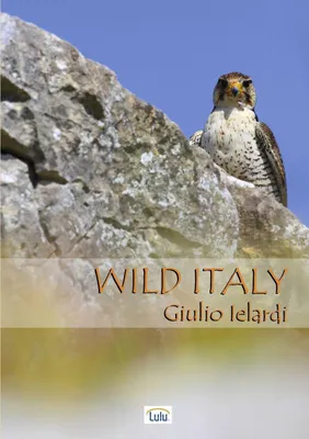 Produktbild von Wild Italy