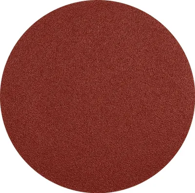 Obrázek produktu pro Brusný papír 125 mm P100 5 ks suchý zip