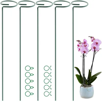 Image de Solidchoice - 5 supports de plantes pour le maintien des tiges, avec clips
