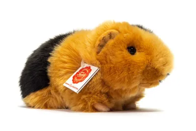 Obrázok produktu pre Plyšové morča Teddy Hermann čierne/zlaté 20 cm plyšová hračka