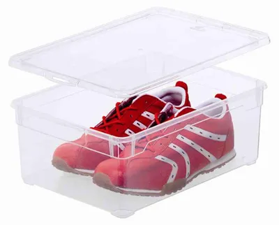 Image de Rotho Boîte de rangement Clear Man Shoe avec couvercle 10 L transparent
