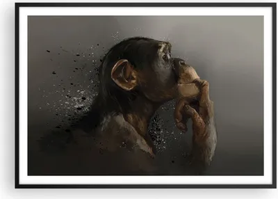 Produktbild von Gerahmtes Poster - Schwarzer Rahmen - Schimpanse Porträt Grafik - 100x70 cm - Wand Bild - Wanddeko - Wandbilder - Kunstposter - Wandposter - Bilderrahmen - Bilder - Kunstdruck - P2BAA100x70-4676