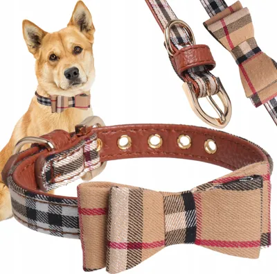 Produktbild von PETSTORY ELEGANCKA Halsband L mit Schleife für Haustiere