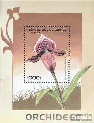 Produktbild von Briefmarken Guinea 1997 Mi Block507 (kompl.Ausg.) postfrisch Orchideen