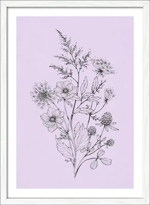 Produktbild von Gerahmtes Bild Flowers On Purple Color 53x73 cm