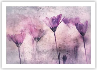 Produktbild von Poster - Poster ohne Rahmen - Blumen Rosa Vintage - 70x50 cm - Wand Bild - Wanddeko - Wandbilder - Kunstposter - Wandposter - Bilder - Kunstdruck - Wanddekoration - Wandbild - P2XAA70x50-4432