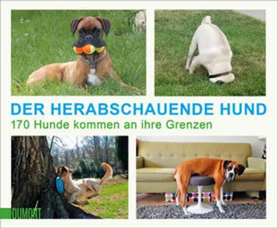 Obrázok produktu pre Der herabschauende Hund