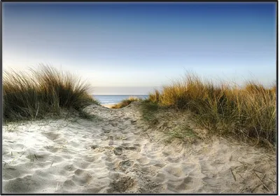 Produktbild von Wallario Wandbild Weg durch die Dünen zum Strand am Meer, Größe: 70,30 x 100,30 cm, Poster mit schwarzem Aluminiumrahmen