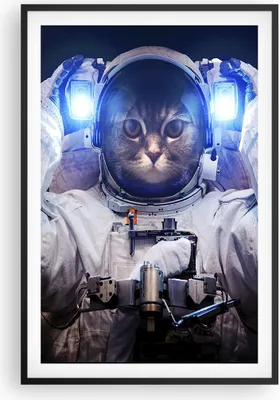 Produktbild von Gerahmtes Poster - Schwarzer Rahmen - Kosmonaut Katze - 61x91,5 cm - Wand Bild - Wanddeko - Wandbilder - Kunstposter - Wandposter - Bilderrahmen - Bilder - Kunstdruck - Wandbild - P2BPA61x91-3734