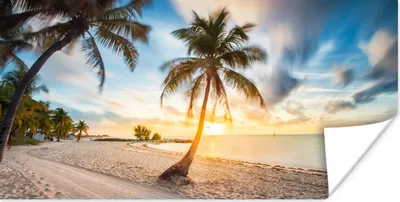 Produktbild von MuchoWow® Poster Sonnenuntergang - Strand - Palme 40x20 cm - Poster für die Wand - Poster Schlafzimmer