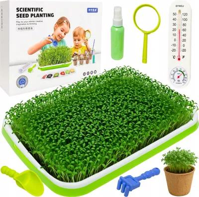 Zdjęcie produktu dla Kiełkownica Mini Ogród Dla Dzieci Uprawa Roślin Termometr + Akcesoria